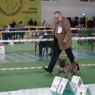 kimo _in_the_ring.jpg